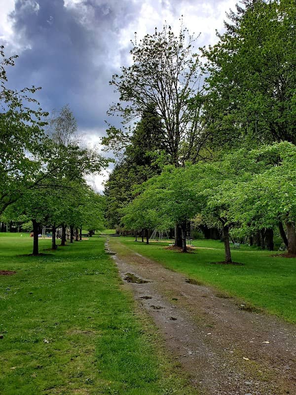 Kimmel Park Play Area - Image 1