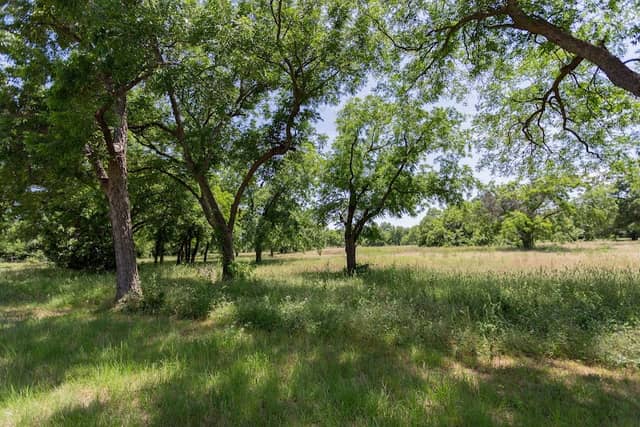 Kelley Park - Image 1