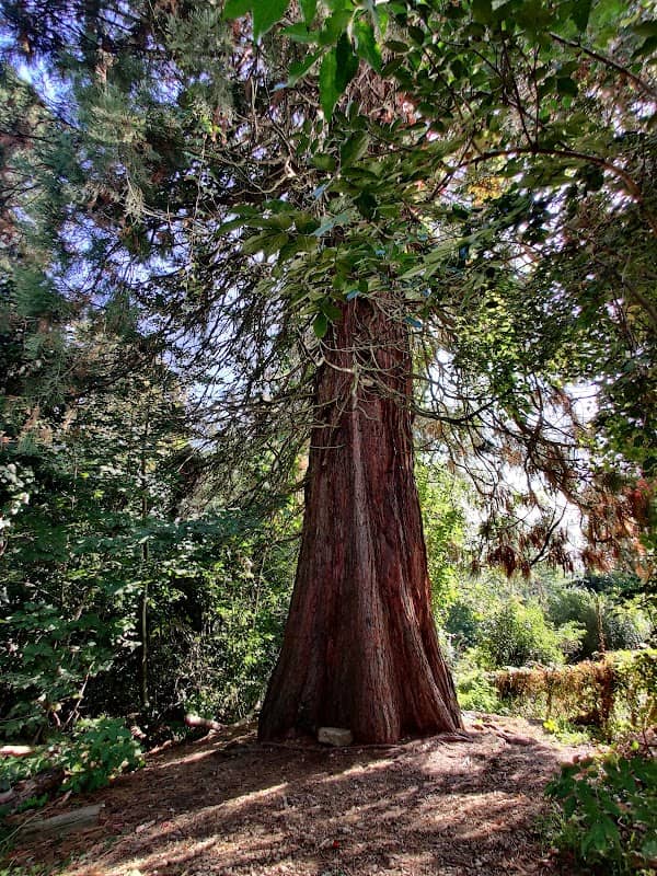 Grazer Urwald - Image 1