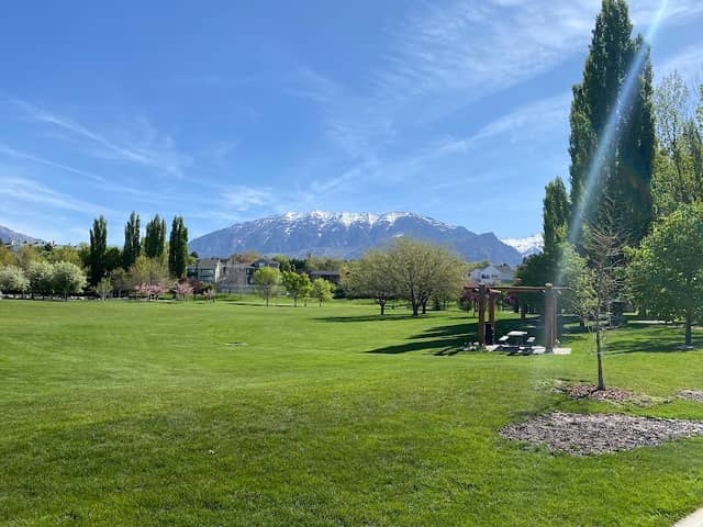 Nielsen's Grove Park - Image 1