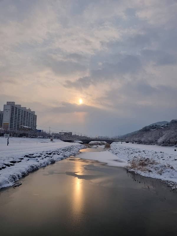 정읍천 벚꽃길 - Image 1