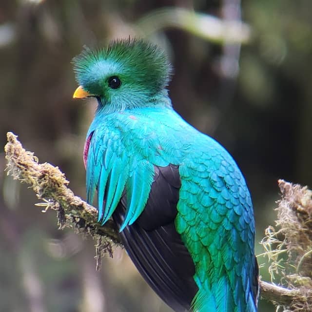 Costa Rica Wild Tours - Image 1