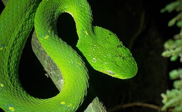 Costa Rica Wild Tours - Image 2