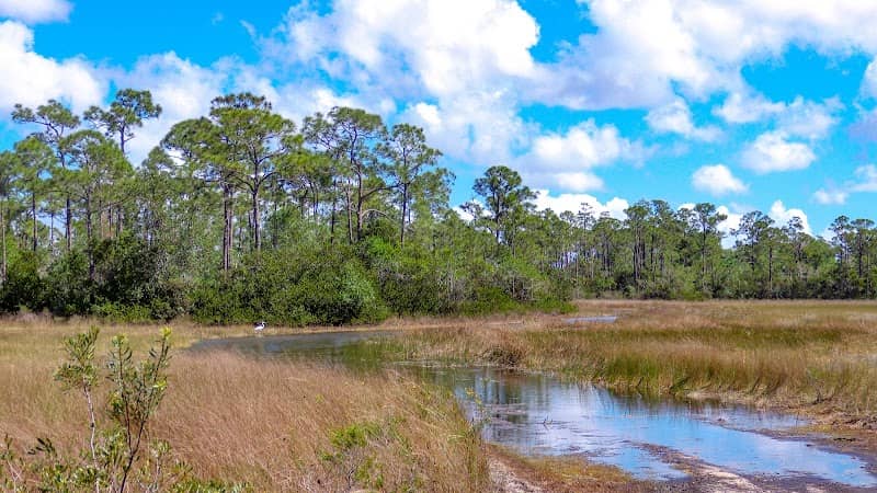 Loxahatchee Slough Natural Area - Image 1