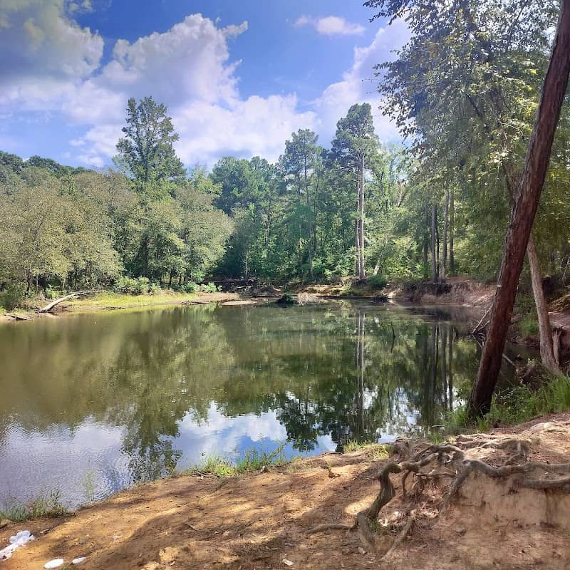 Garland P. Ferguson Park - Image 2