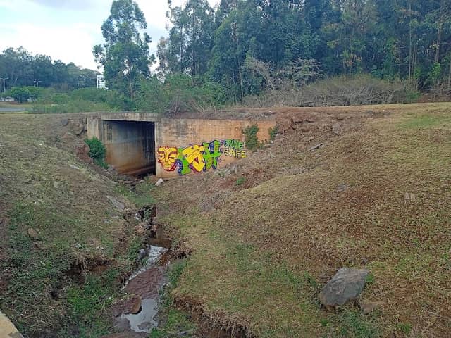 Ngong Road Forest Sanctuary - Section 4 - Image 2