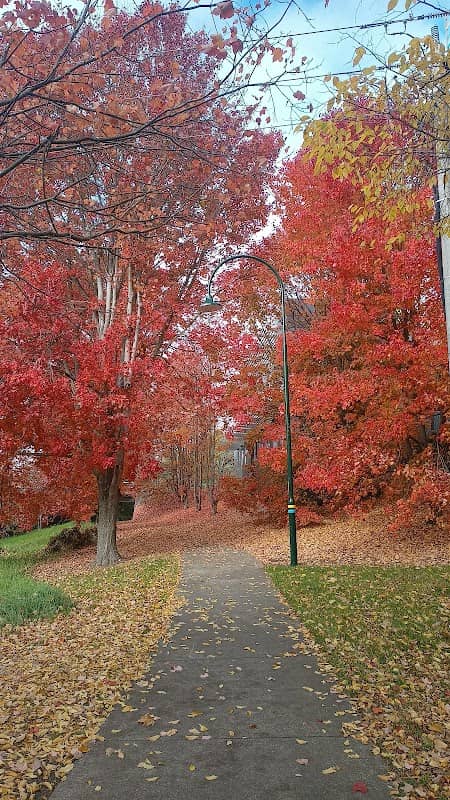 Autumn 🍁 Photo Spot - Image 1
