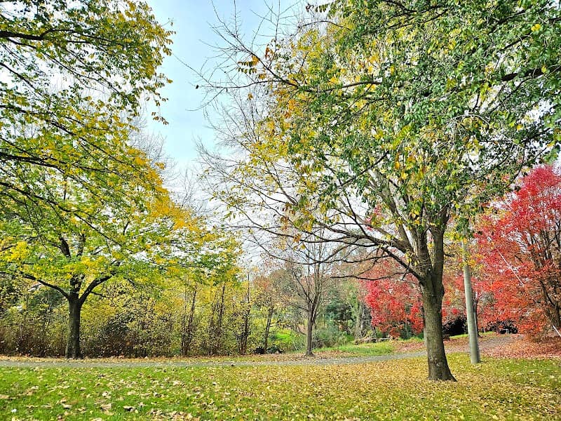 Autumn 🍁 Photo Spot - Image 2