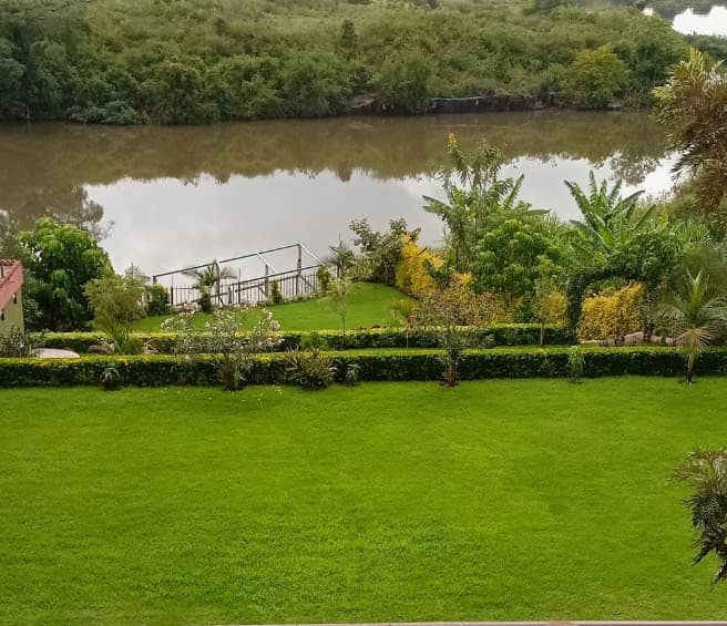 Lulu Ziwani Garden - Image 1