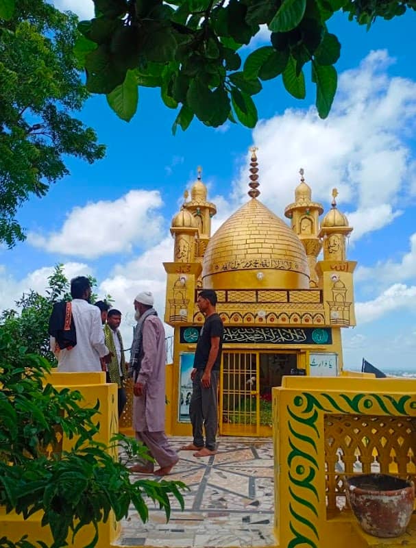 Madar chilla tedi neem jabalpur mp - Image 1