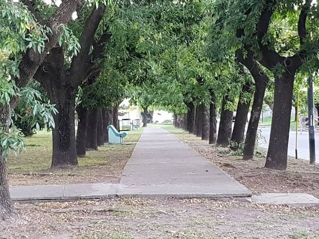 Plaza Güemes - Image 1