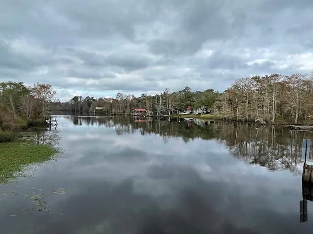 St Tammany Parish Trailhead - Image 2