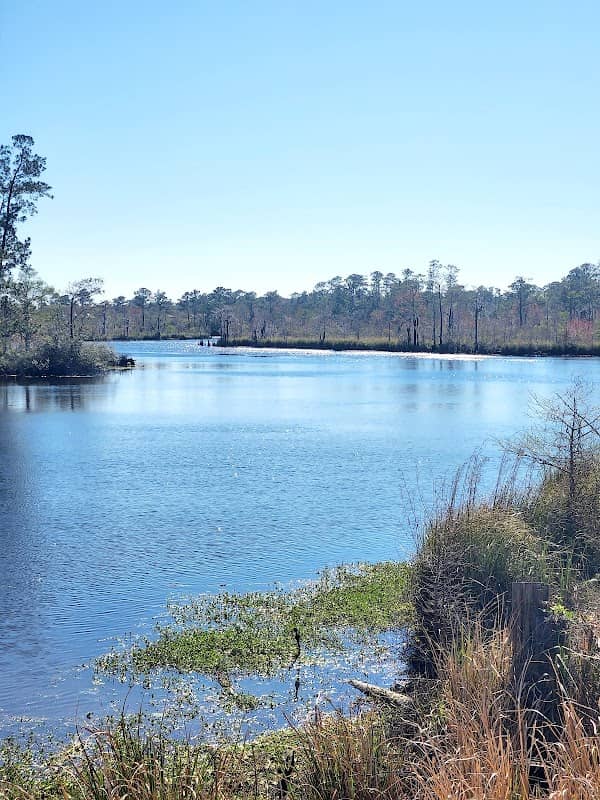St Tammany Parish Trailhead - Image 1