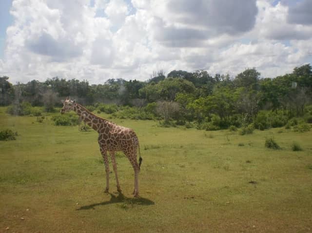 Parque Zoológico Nacional - Image 1