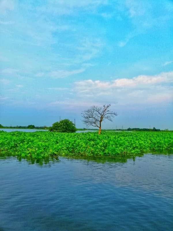 NATURE LOVERS CLUB - Image 2