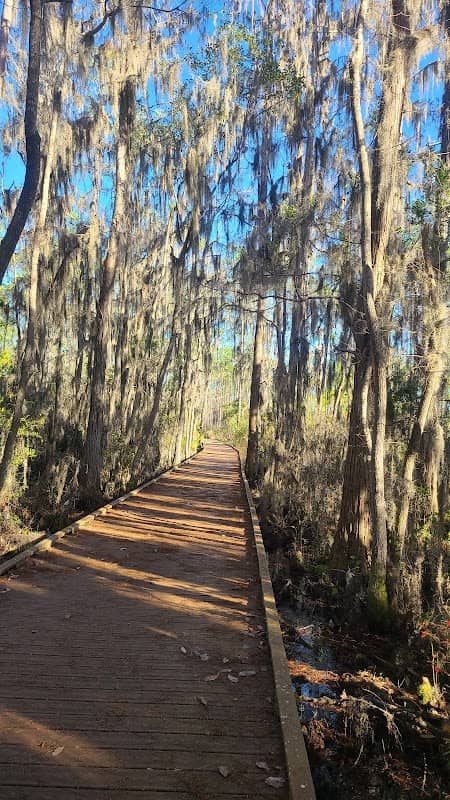 Okefenokee National Wildlife Refuge - Image 3