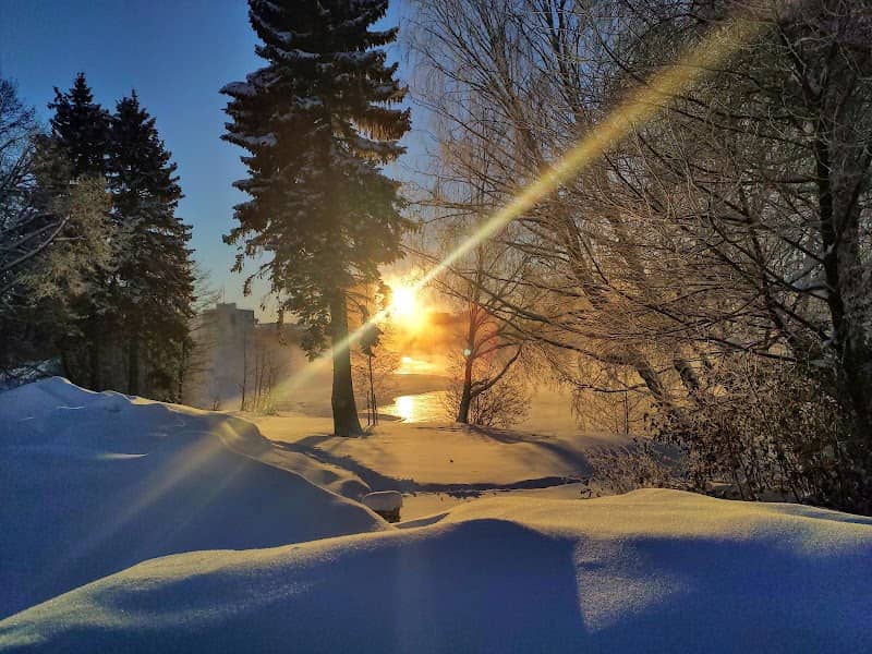 Sillankorvanpuisto - Image 1