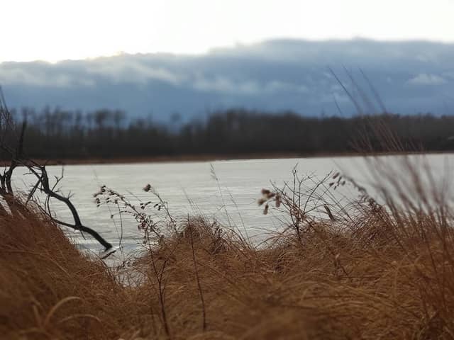 Parkland Natural Area - Image 2