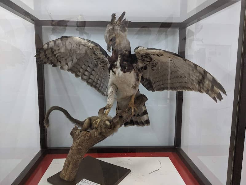 Natural History Museum University of Cauca - Image 2