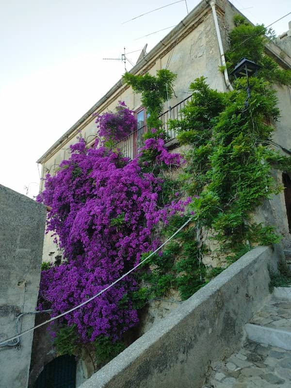 Palazzo Naymo Pellicano Spina - Image 1