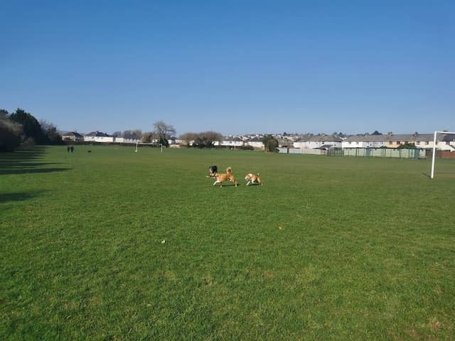 Great Western Ave Park and Playing Field - Image 1