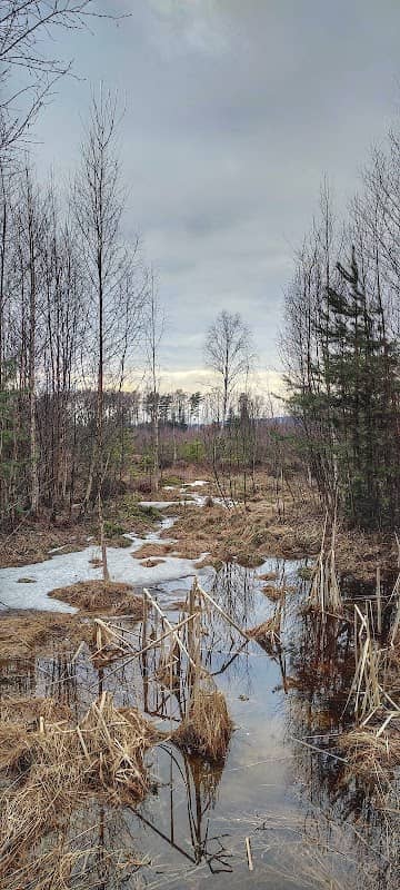 Byen på Måsan - Image 1