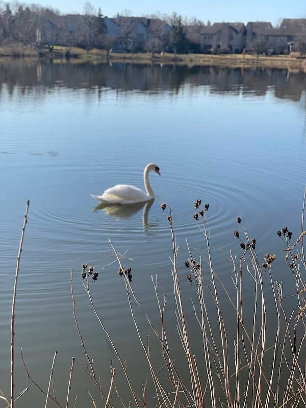 Altman Park - Image 2