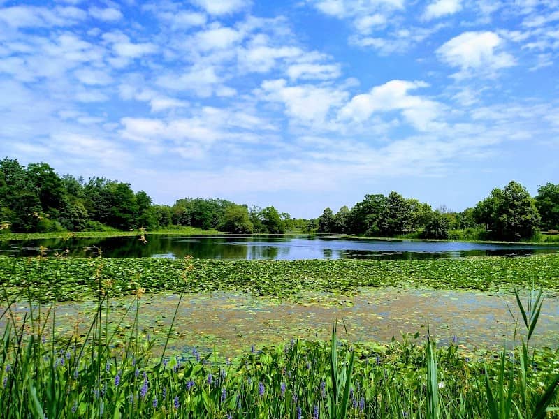 Altman Park - Image 1