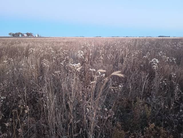 Kalsow Prairie State Preserve - Image 2