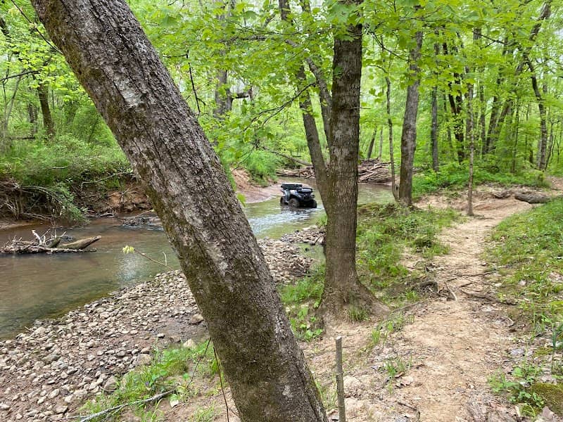 Reedy Creek Beach - Image 2