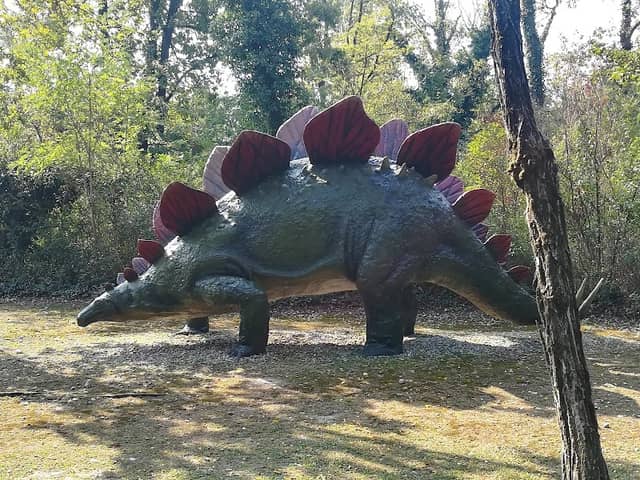 Parco Bisarca - Image 1