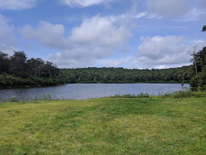 Willowemoc Wild Forest - Image 2