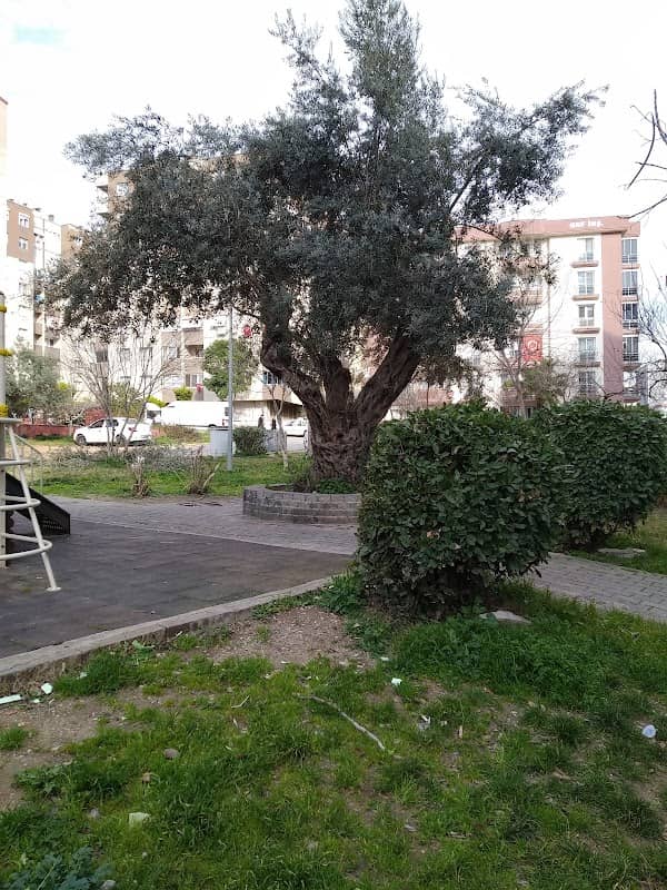 Child park - Image 1