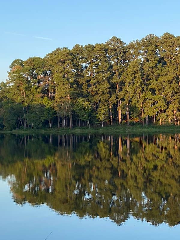 Upper City Lake - Image 1