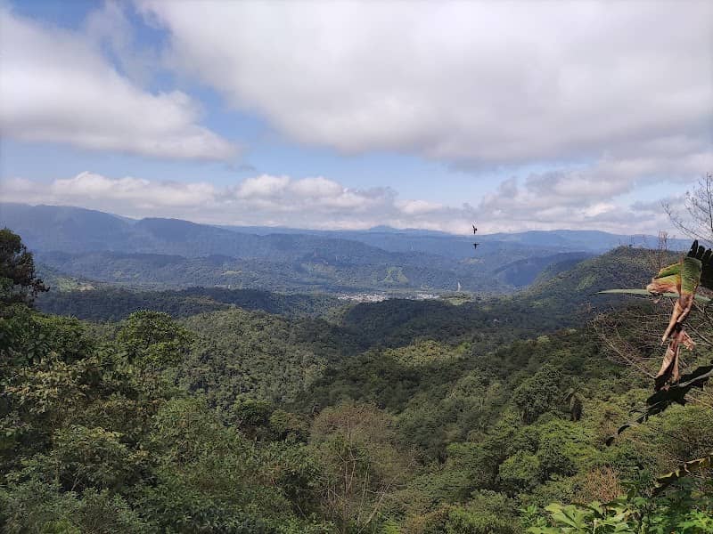 San Tadeo Birding - Image 2