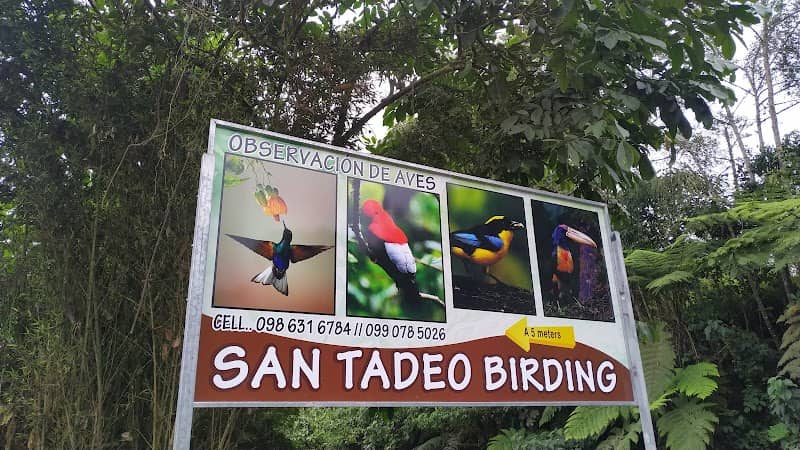 San Tadeo Birding - Image 1