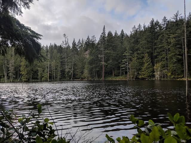 Anacortes Community Forest Lands North - Image 1