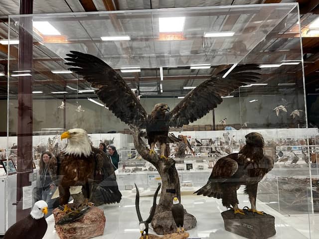 Western Foundation of Vertebrate Zoology - Image 1
