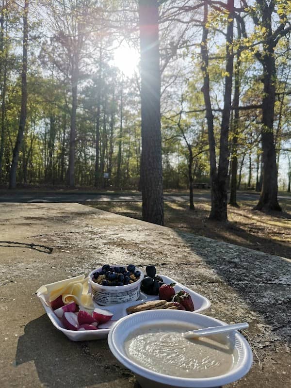 Picnic Area - Image 2