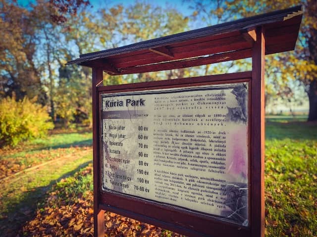 Kúria Park - Image 2