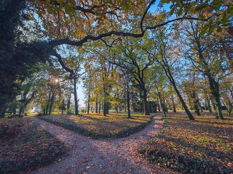 Kúria Park - Image 1
