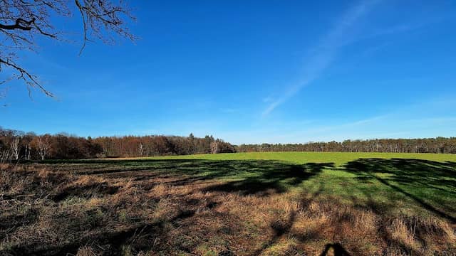 Staffelder Feld - Image 2