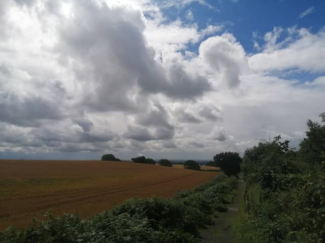 Billinge Hill Nature Reserve - Image 1