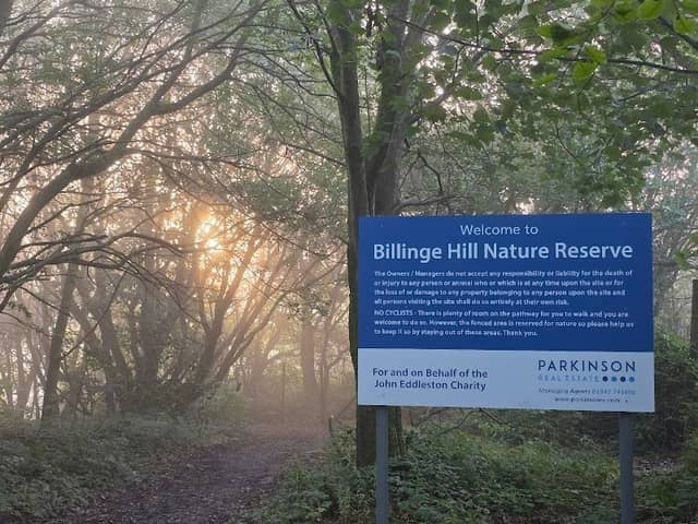 Billinge Hill Nature Reserve - Image 2