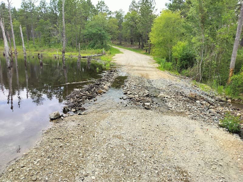 Gibbons Creek - Image 1