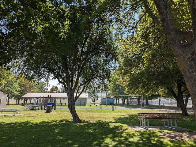 Royal City Lion's Park - Image 1