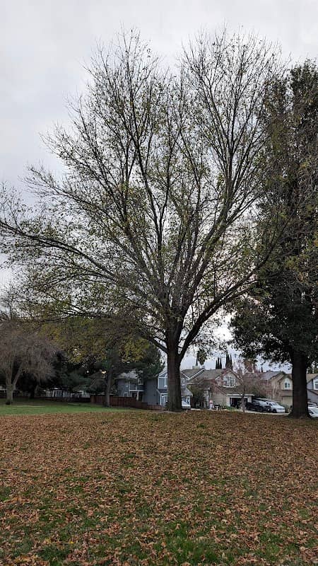Bill Clark Park - Image 1