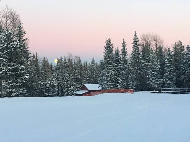 William A. Switzer Provincial Park - Image 3