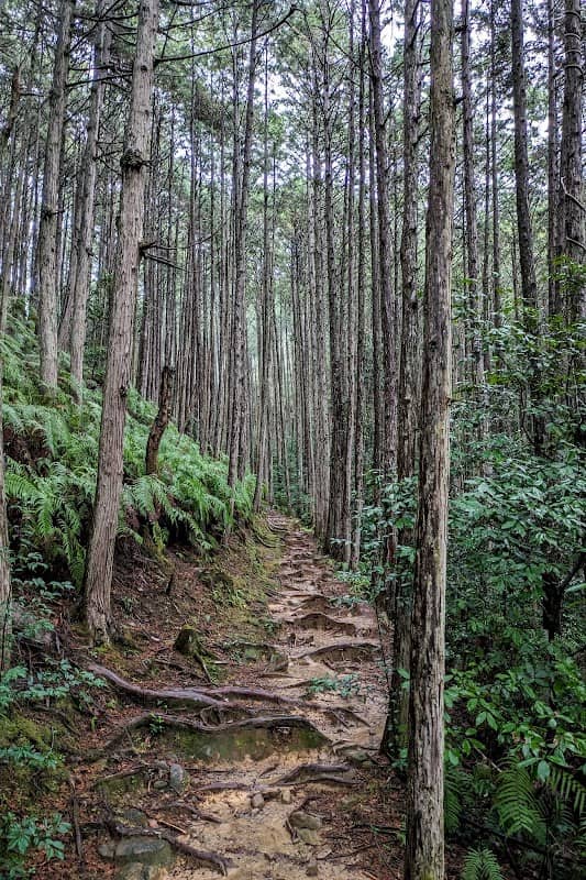 Kumano Kodo Dainichietsu trailhead - Image 2
