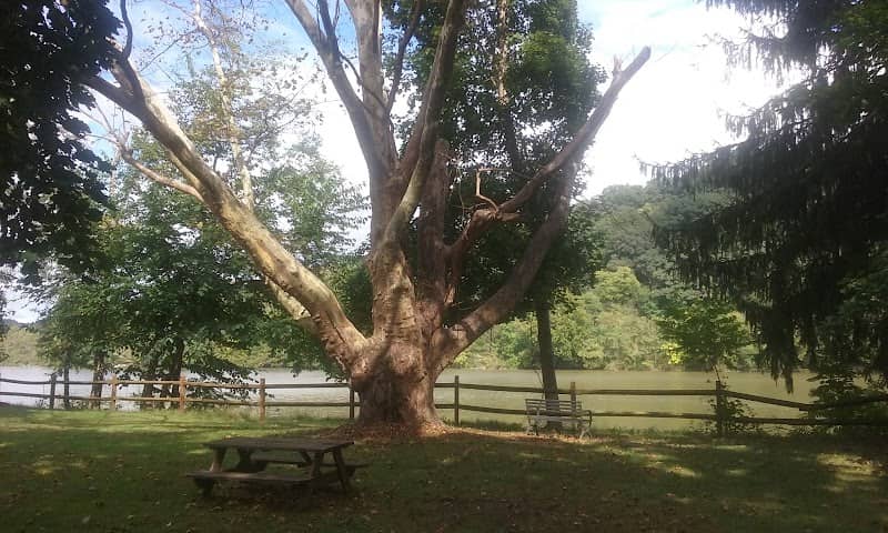 John E Bower Memorial Park - Image 2
